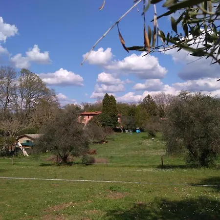 La Contea