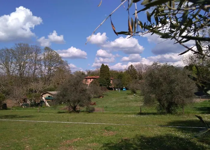 La Contea Rom