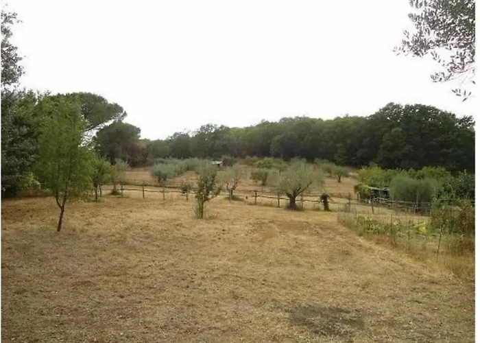 Gasthof La Contea Rom